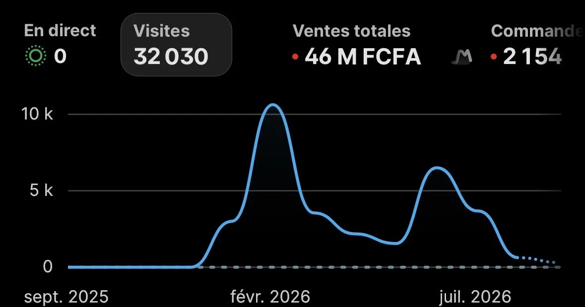Tableau de bord Shopify : 46 M FCFA de ventes et 2 154 commandes sur un an